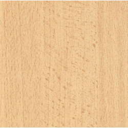 Бук Бавария Светлый